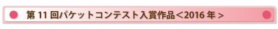 第11回パケットコンテスト入賞作品