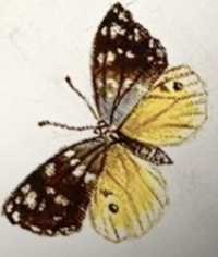 南先生の１dayレッスン