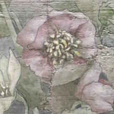 南先生の1dayレッスン