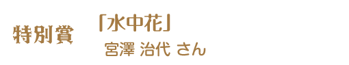 第12回ピコットパケットコンテスト特別賞作品「水中花」宮澤治代さん