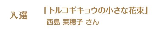 第12回ピコットパケットコンテスト入選作品「トルコギキョウの小さな花束」西島菜穂子さん