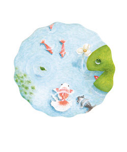 小川佐知子さん「金魚のかくれんぼ」